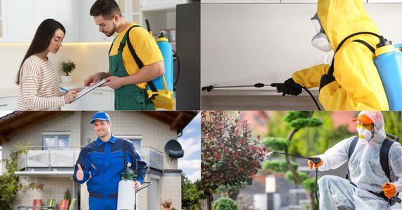 10 Benefits of Hiring a Professional Pest Control Company?