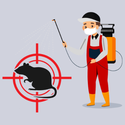 rodent control in delhi rat control delhi rodent control delhi rat pest control delhi rat control services in delhi pest and rodent control near me rodent control services near me