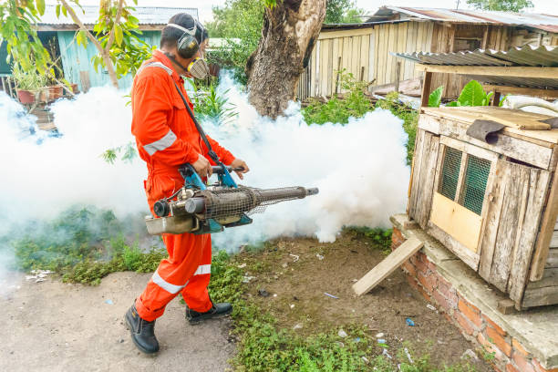 Mosquito Fogging Services